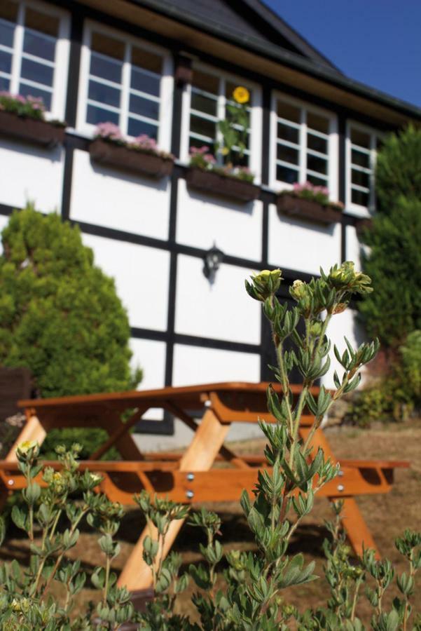 Wolfs Ferienhaus - Natuerlich Eifel Blankenheim  Exteriér fotografie